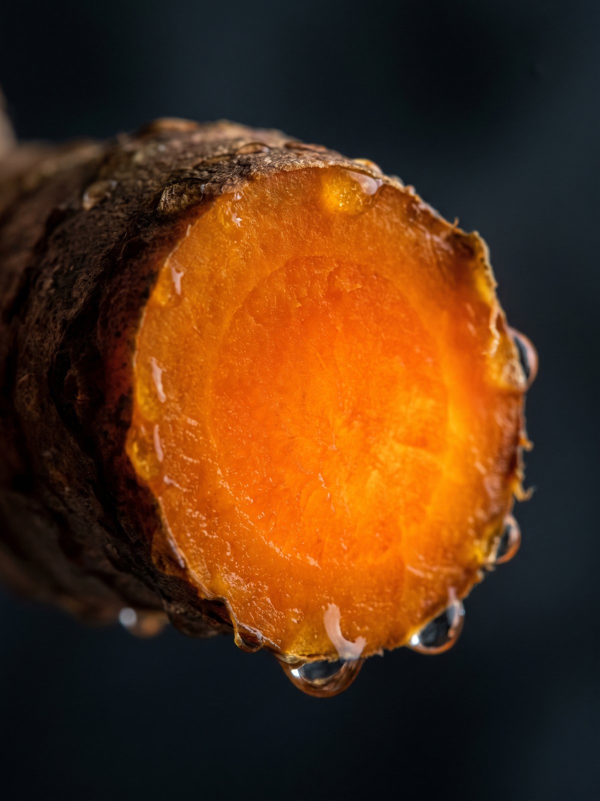 Turmeric root — a natural source of Curcumin