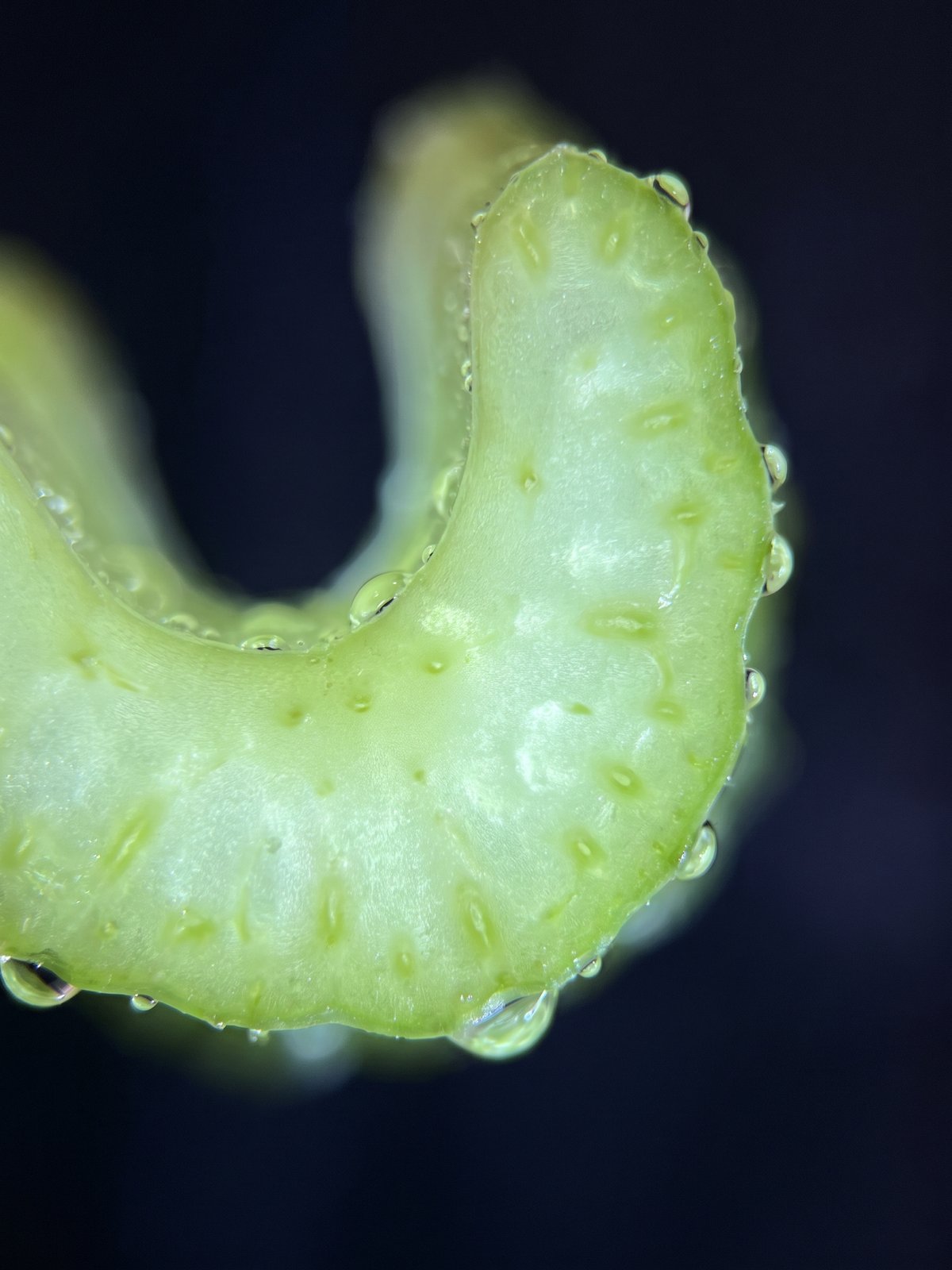 Celery — a natural source of Luteolin